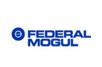 Federal mogul